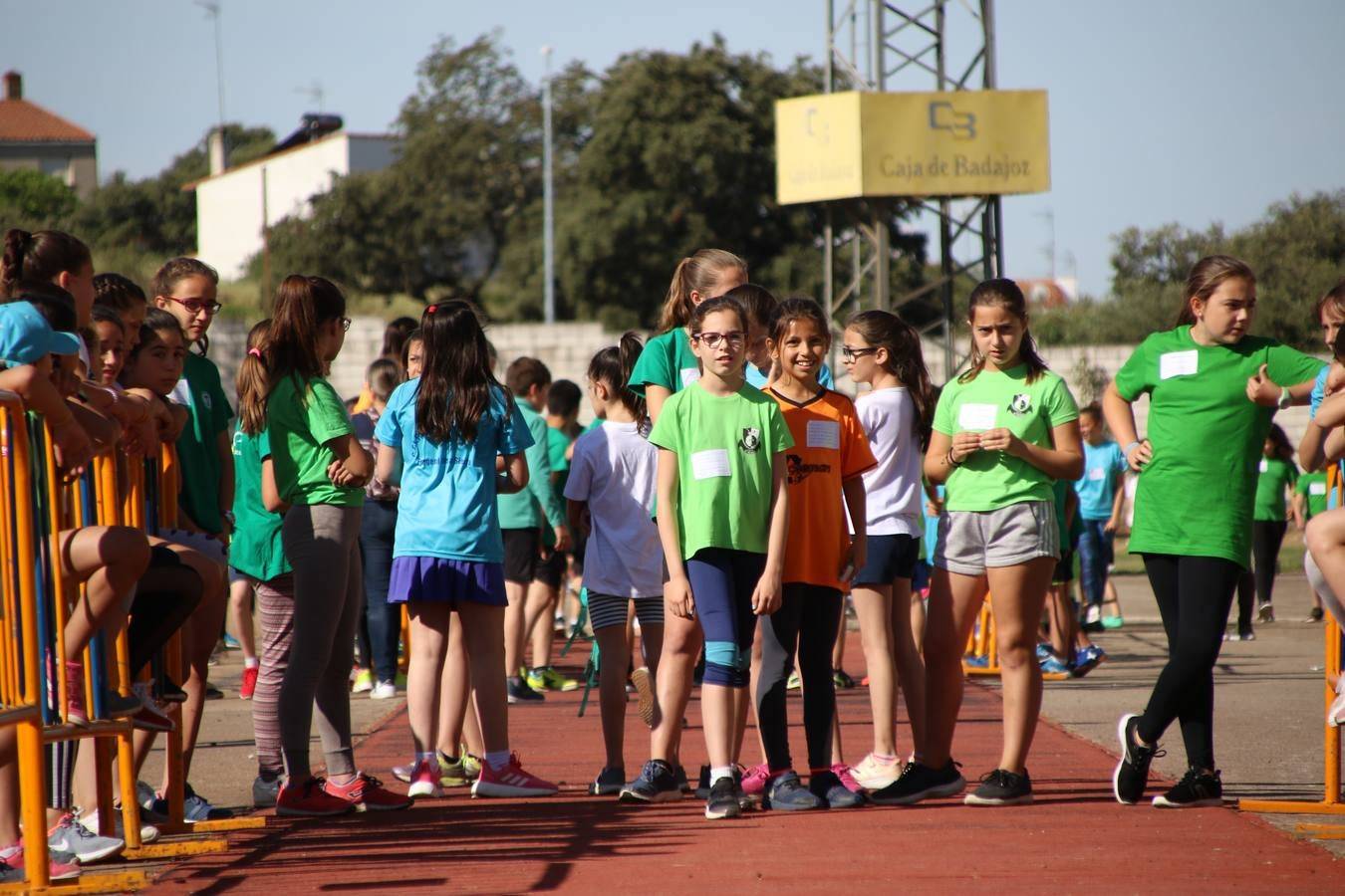 La Ciudad Deportiva 'Manuel Calzado' ha acogido, esta mañana, la celebración de la IV Convivencia Deportiva de Primaria, organizada por el Centro de Profesores y Recursos de esta ciudad con el apoyo del Ayuntamiento de Jerez, la Junta de Extremadura, la Diputación de Badajoz y la Fundación 'Alfonso Gallardo'. Más de 750 escolares de 15 colegios han disfrutado de esta experiencia deportiva con pruebas de atletismo, lanzamiento de peso, salto de altura, salto de longitud y lanzamiento de jabalina.