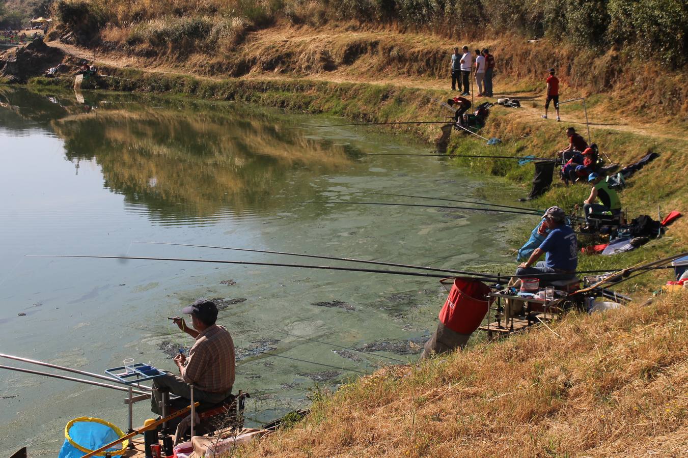 Buen ambiente pero pocas tencas en el 301 aniversario del Concurso tradicional de Pesca 'Charca de la Albuera' que se ha celebrado este domingo 2 de junio en el enclave natural del que toma su nombre. esta cita organizada por la Sociedad de Pesca Balboa. Francisco Pérez Caballo con una captura de 11.380 gramos ha sido el ganador de esta edición. 