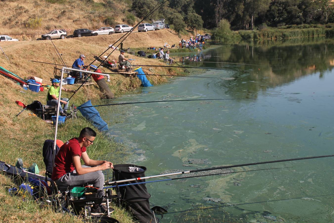 Buen ambiente pero pocas tencas en el 301 aniversario del Concurso tradicional de Pesca 'Charca de la Albuera' que se ha celebrado este domingo 2 de junio en el enclave natural del que toma su nombre. esta cita organizada por la Sociedad de Pesca Balboa. Francisco Pérez Caballo con una captura de 11.380 gramos ha sido el ganador de esta edición. 