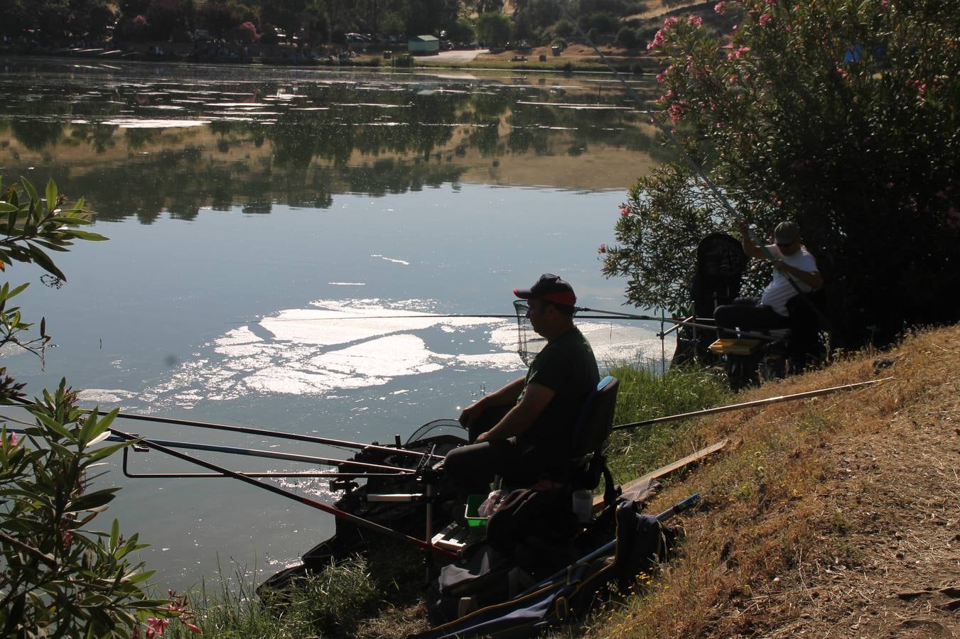 Buen ambiente pero pocas tencas en el 301 aniversario del Concurso tradicional de Pesca 'Charca de la Albuera' que se ha celebrado este domingo 2 de junio en el enclave natural del que toma su nombre. esta cita organizada por la Sociedad de Pesca Balboa. Francisco Pérez Caballo con una captura de 11.380 gramos ha sido el ganador de esta edición. 