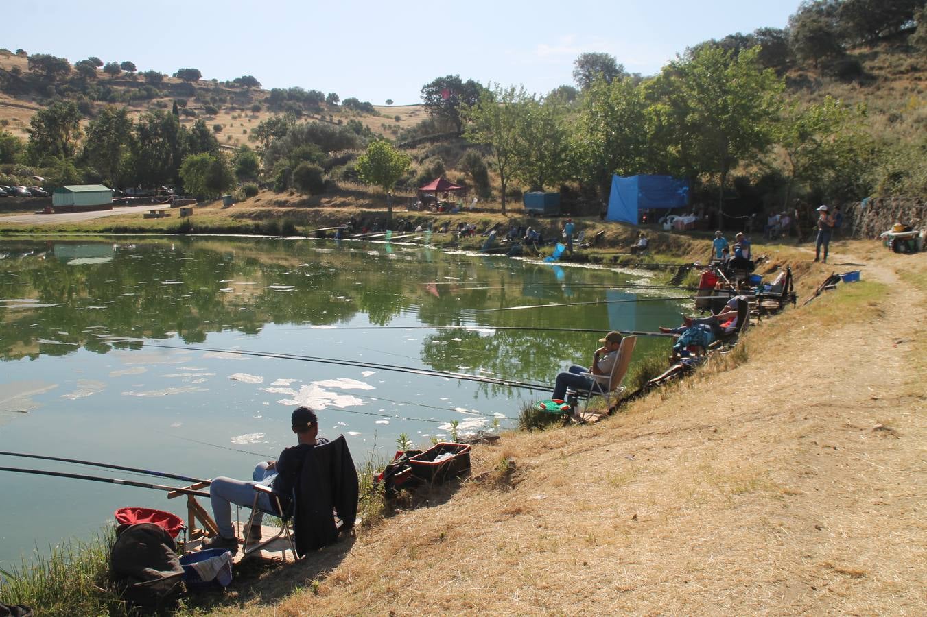 Buen ambiente pero pocas tencas en el 301 aniversario del Concurso tradicional de Pesca 'Charca de la Albuera' que se ha celebrado este domingo 2 de junio en el enclave natural del que toma su nombre. esta cita organizada por la Sociedad de Pesca Balboa. Francisco Pérez Caballo con una captura de 11.380 gramos ha sido el ganador de esta edición. 