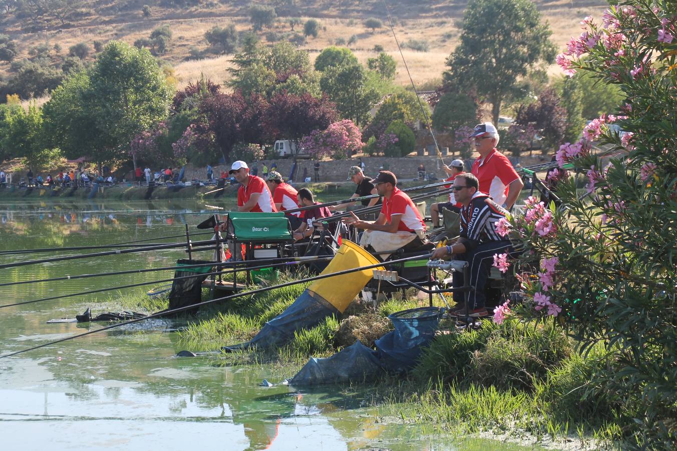 Francisco Pérez Caballo ha sido el ganador, este domingo, del tradicional Concurso de Pesca 'Charca de la Albuera' que este año 2019 ha alcanzado su 301 aniversario. Pérez ha logrado una peso total de captura de tencas de 11'380 kilogramos, casi una proeza teniendo en cuenta la dificultad de la mayoría de los cerca de 200 participantes que se han dado cita en este evento, para pescar la especie protagonista del mismo. José Antonio Flores Matamoros ha sido el segundo clasificado y primero de la zona C con 10`180 kilos de tenca; el tercer puesto y primero de la zona B ha sido para Juan José Sánchez Garrido con un peso de 4`980 kilos y el cuarto y primero de la zona A ha sido Antonio Galván Guerrero con una captura de poco más de 3 kilos de tencas.