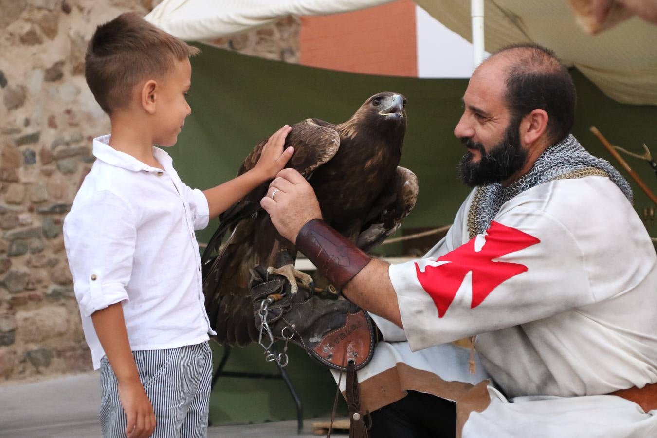 Las visitas guiadas, los talleres y los espectáculos marcan el ritmo del XVI Festival Templario. Vecinos y turistas recorrieron, ayer, las principales calles del municipio donde artesanos, mercaderes y taberneros ofrecían sus productos. También, pequeños y mayores disfrutaron con 'Descubriendo rincones templarios'; demostración de formaciones de combate; taller de cantería; cómo se vestía un templario para el combate; pasacalles; tiro con arco; espectáculo circense medieval, y espectáculo aéreo y de fuego.