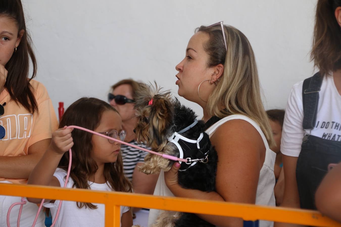 El popular barrio de 'San Roque' ha acogido, esta mañana, la primera jornada de su tradicional «velá». La cita ha comenzado con el despertar del barrio con repiques de campana y ha continuado con la tradicional ceremonia de la bendición de animales, los juegos infantiles, una gran tómbola y la fiesta de la espuma. 