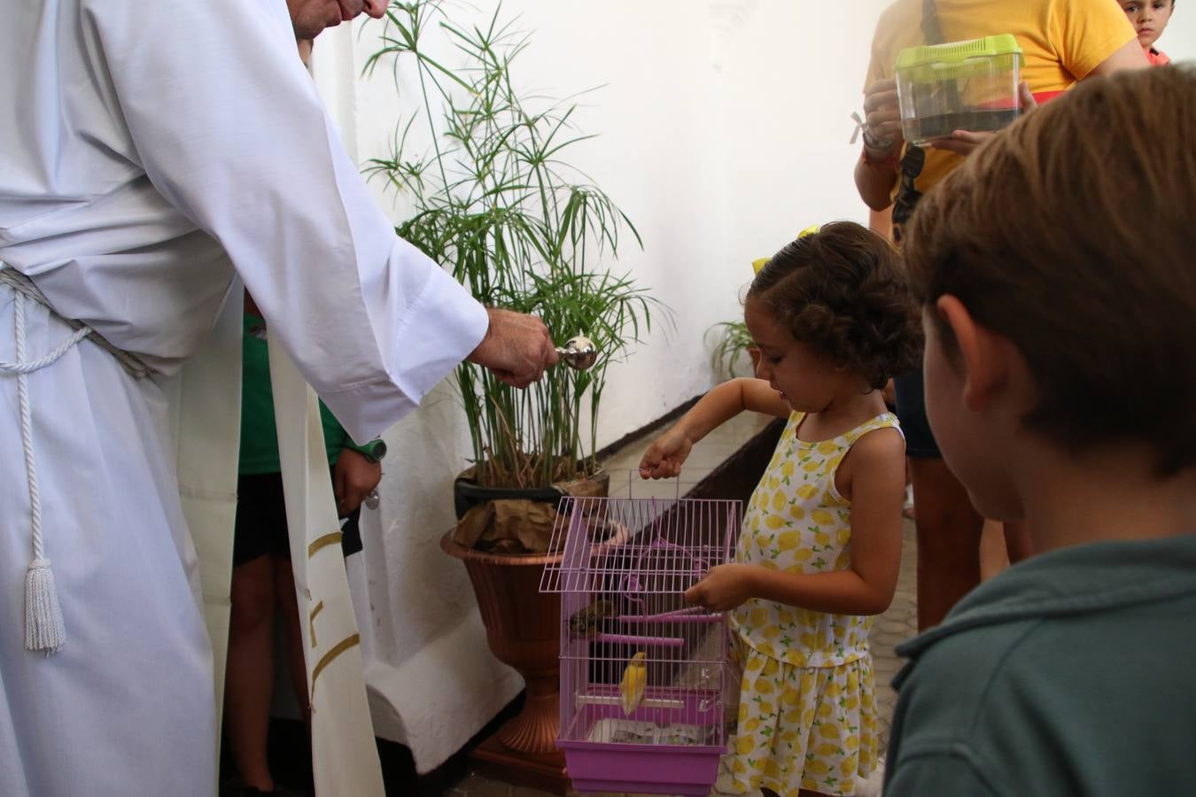 El popular barrio de 'San Roque' ha acogido, esta mañana, la primera jornada de su tradicional «velá». La cita ha comenzado con el despertar del barrio con repiques de campana y ha continuado con la tradicional ceremonia de la bendición de animales, los juegos infantiles, una gran tómbola y la fiesta de la espuma. 