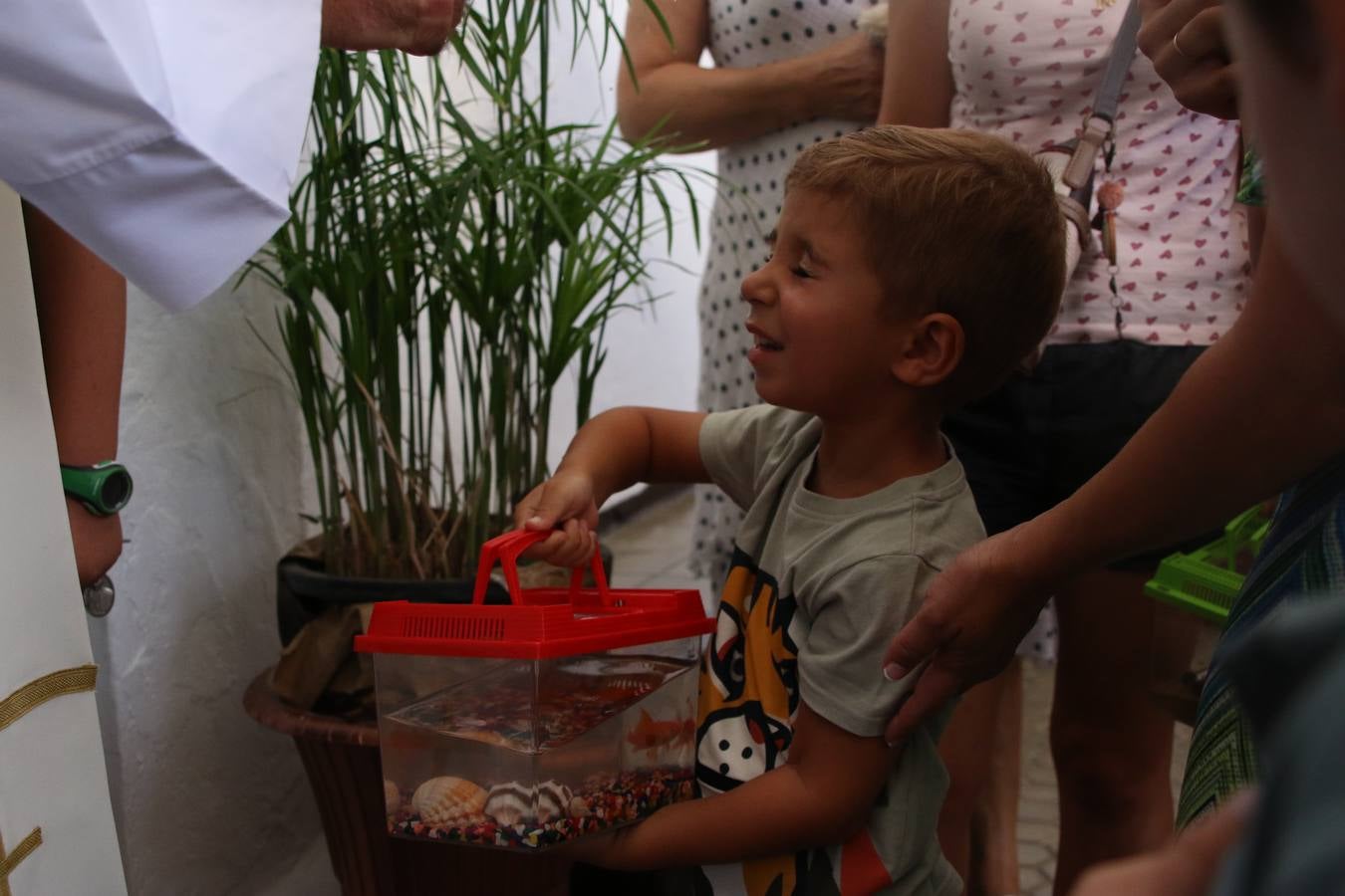 El popular barrio de 'San Roque' ha acogido, esta mañana, la primera jornada de su tradicional «velá». La cita ha comenzado con el despertar del barrio con repiques de campana y ha continuado con la tradicional ceremonia de la bendición de animales, los juegos infantiles, una gran tómbola y la fiesta de la espuma. 