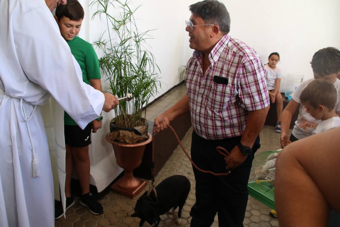 El popular barrio de 'San Roque' ha acogido, esta mañana, la primera jornada de su tradicional «velá». La cita ha comenzado con el despertar del barrio con repiques de campana y ha continuado con la tradicional ceremonia de la bendición de animales, los juegos infantiles, una gran tómbola y la fiesta de la espuma. 