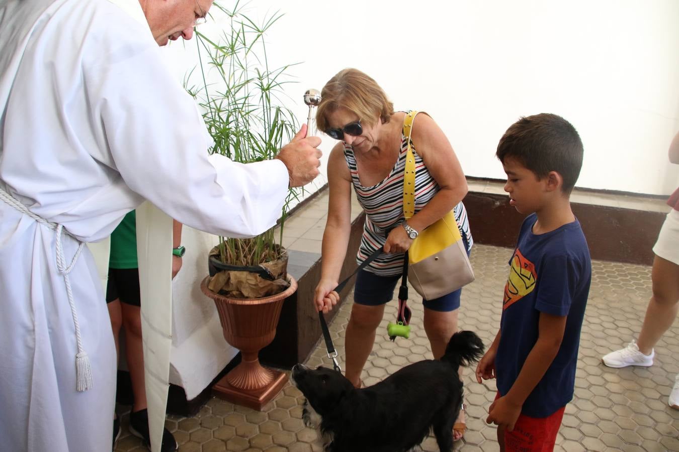 El popular barrio de 'San Roque' ha acogido, esta mañana, la primera jornada de su tradicional «velá». La cita ha comenzado con el despertar del barrio con repiques de campana y ha continuado con la tradicional ceremonia de la bendición de animales, los juegos infantiles, una gran tómbola y la fiesta de la espuma. 