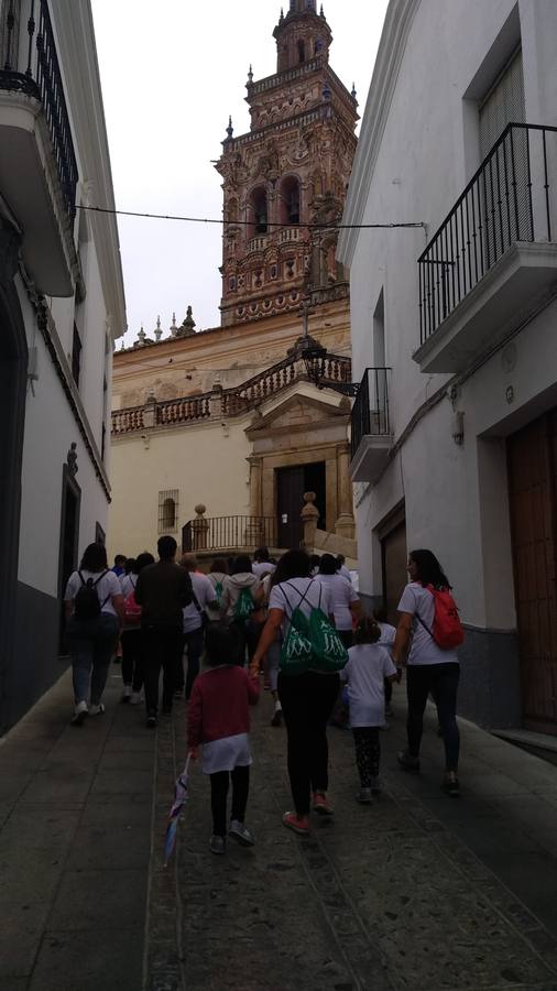 'Contra viento y marea' en sentido figurado, y contra la lluvia y los nubarrones, de manera real, La lucha contra el cáncer se impuso ayer en Jerez de los Caballeros a un día desapacible y sacó musculo con la celebración de la III Ruta contra esta enfermedad organizada por la junta local de la Asociación Española Contra el Cáncer (AECC) en esta ciudad.