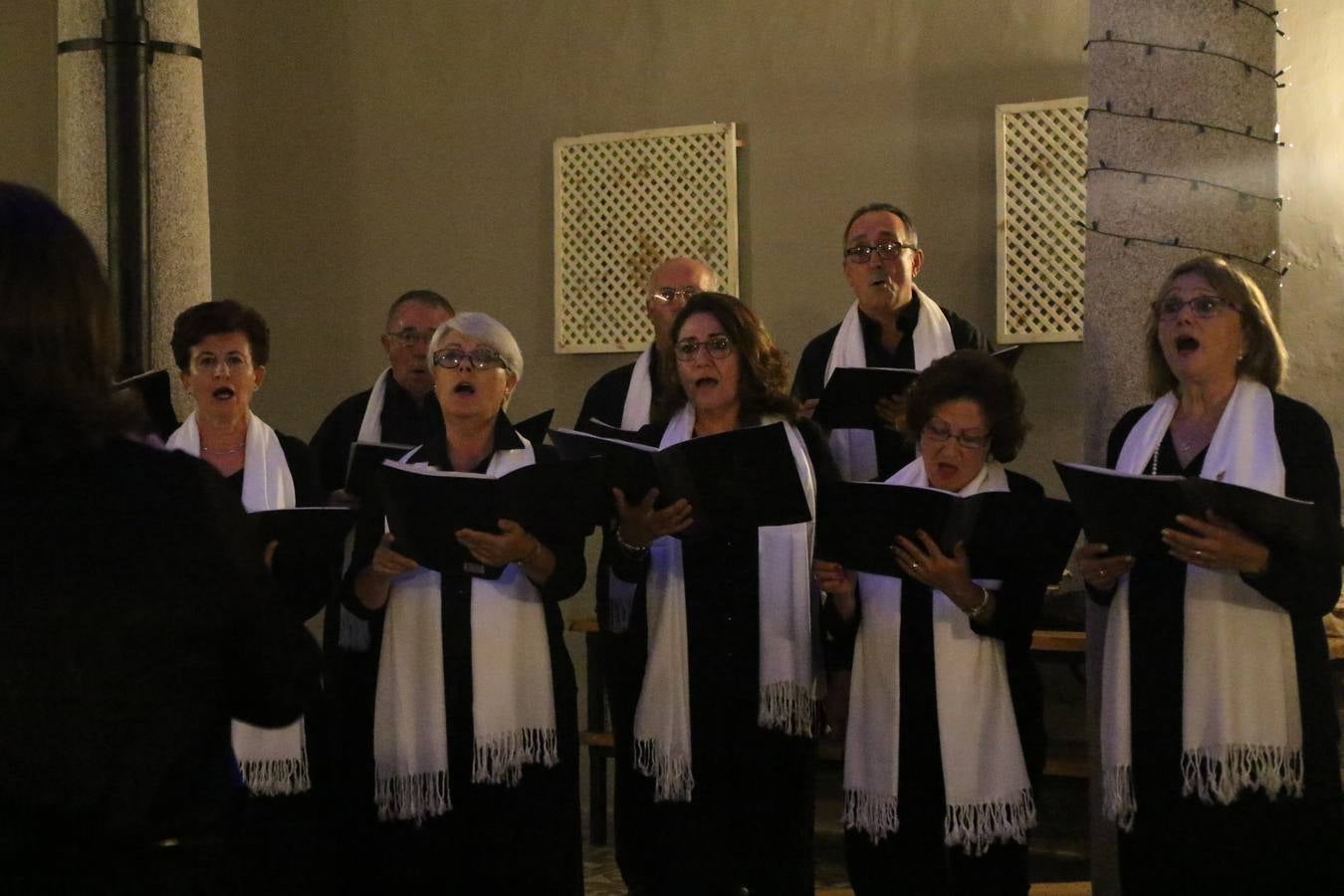 Jerez de los Caballeros celebra la tercera edición de su 'Noche en Blanco' con exposiciones, visitas turísticas, baile, cata de vinos, poesía, conciertos y talleres llenando de ocio, historia y arte diferentes rincones del municipio.