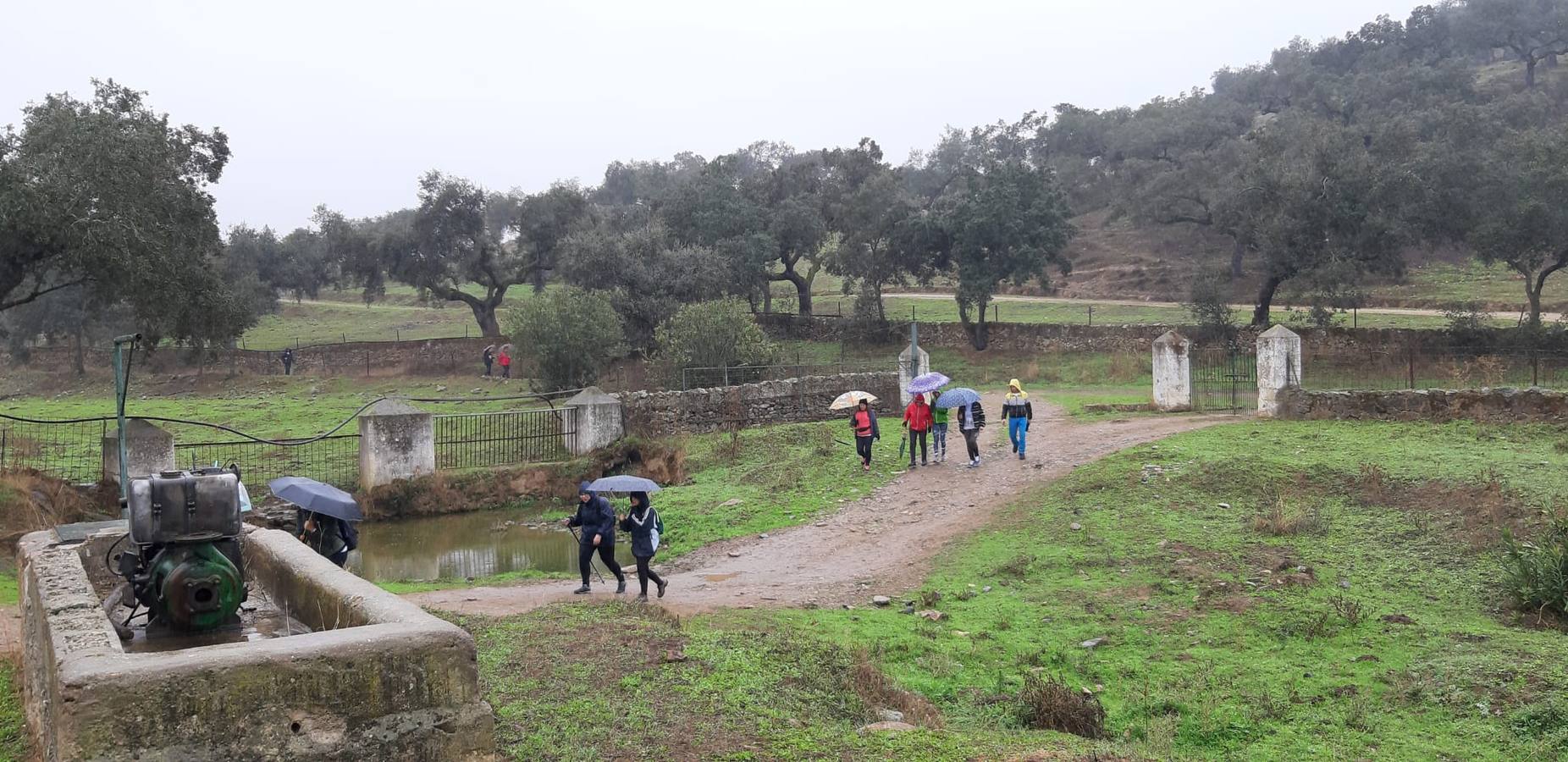 Participantes en en inicio de la Marcha por el bello entorno de La Bazana.