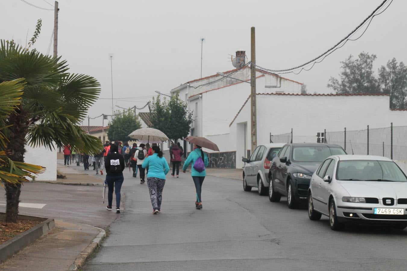 Participantes en en inicio de la Marcha por el bello entorno de La Bazana.