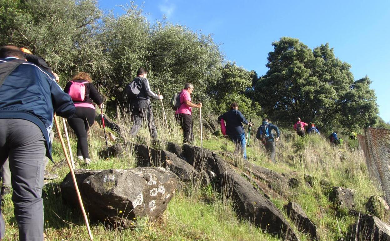 Miembros del Grupo senderista 'Las Chorreras' en ruta.