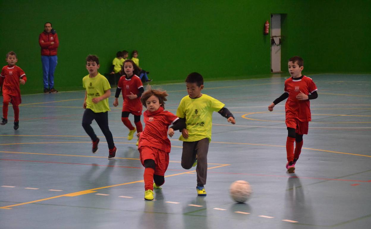 El deporte jerezano afronta con incertidumbre, ganas e ilusión la vuelta a la «nueva normalidad»