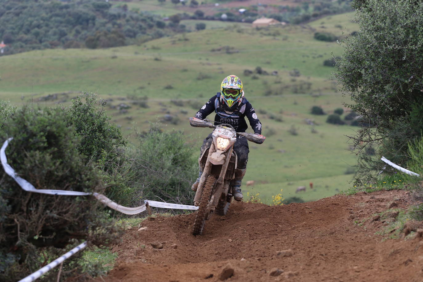 Fotos: Jerez acoge la tercera prueba del Campeonato de España de Cross Country