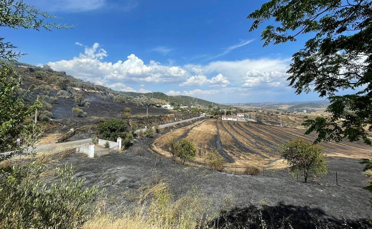 Zona afectada. 