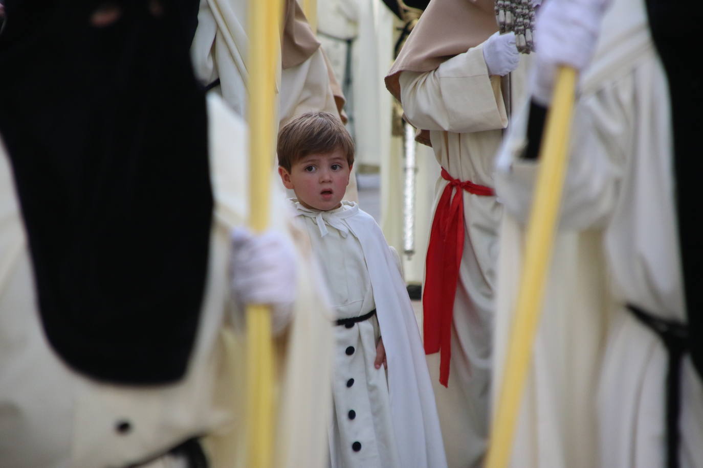Fotos: Vuelve el fervor a las calles de Jerez de los Caballeros con la llegada de un anhelado Domingo de Ramos