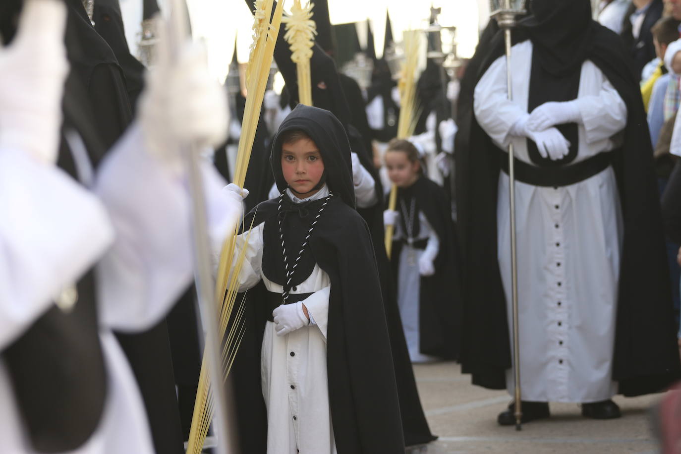 Fotos: Vuelve el fervor a las calles de Jerez de los Caballeros con la llegada de un anhelado Domingo de Ramos