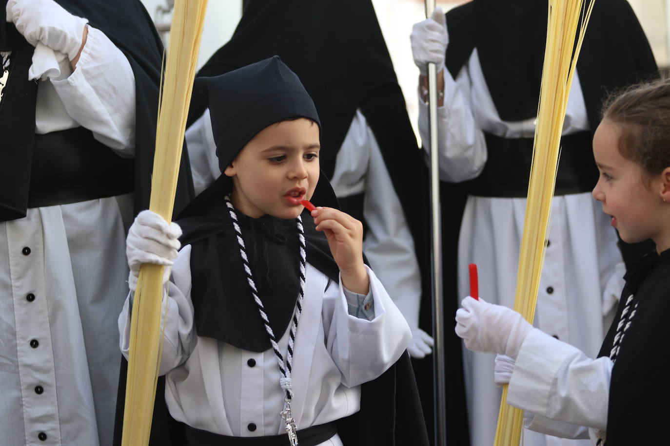 Fotos: Vuelve el fervor a las calles de Jerez de los Caballeros con la llegada de un anhelado Domingo de Ramos