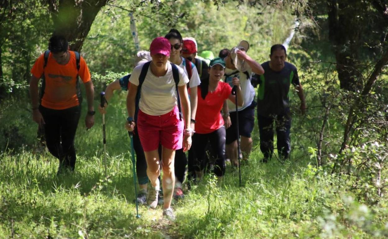 La XIII 'Ruta Templaria' se celebrará el 1 de mayo con un recorrido por la «rivera Ardila»