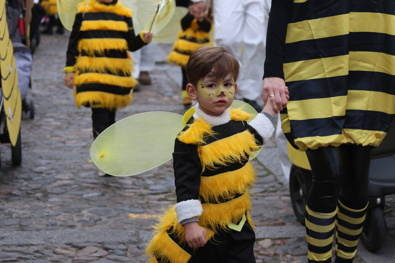 Fotos: Arranca el Carnaval en Jerez de los Caballeros con el desfile de los centros educativos