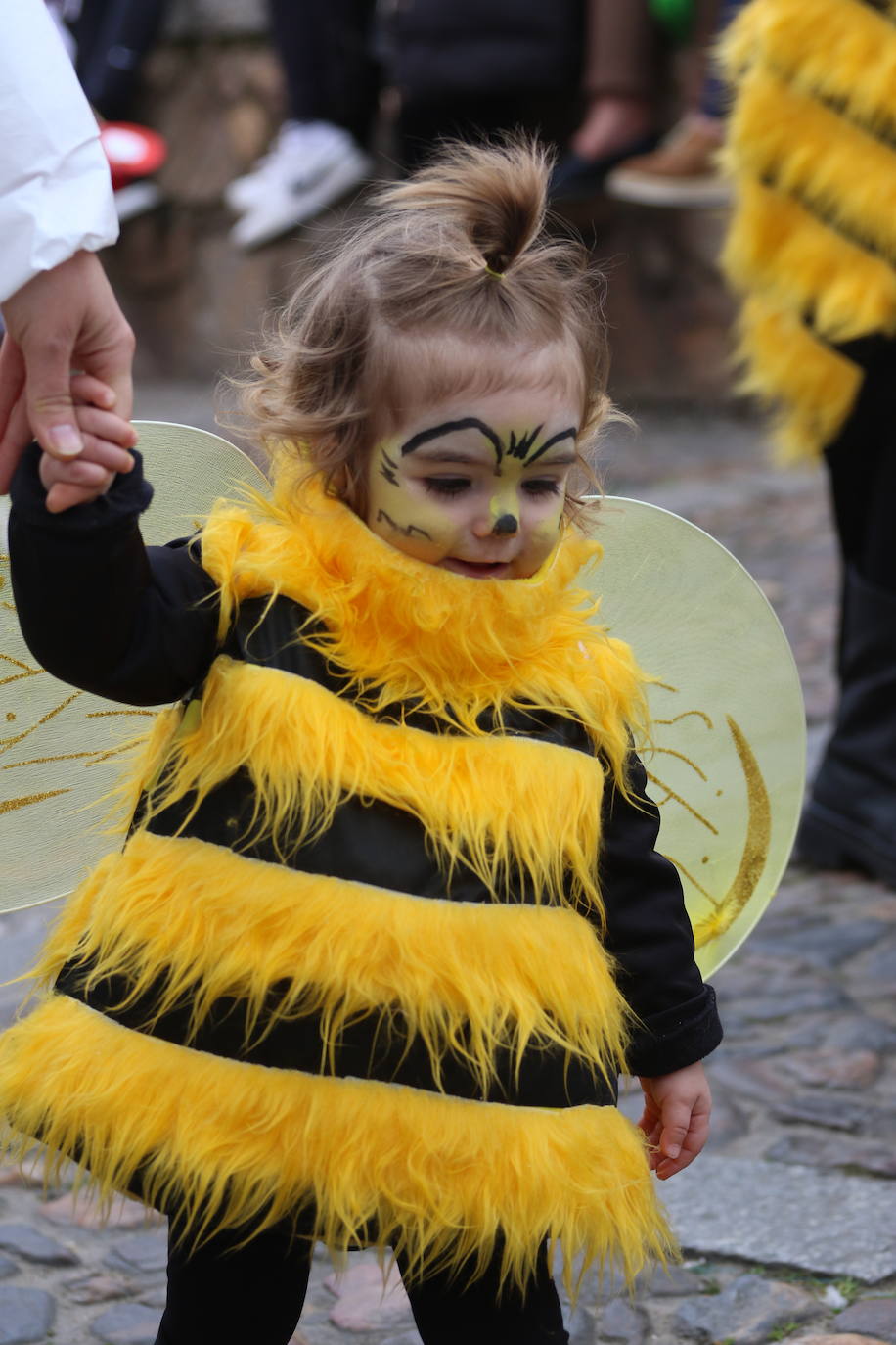 Fotos: Arranca el Carnaval en Jerez de los Caballeros con el desfile de los centros educativos