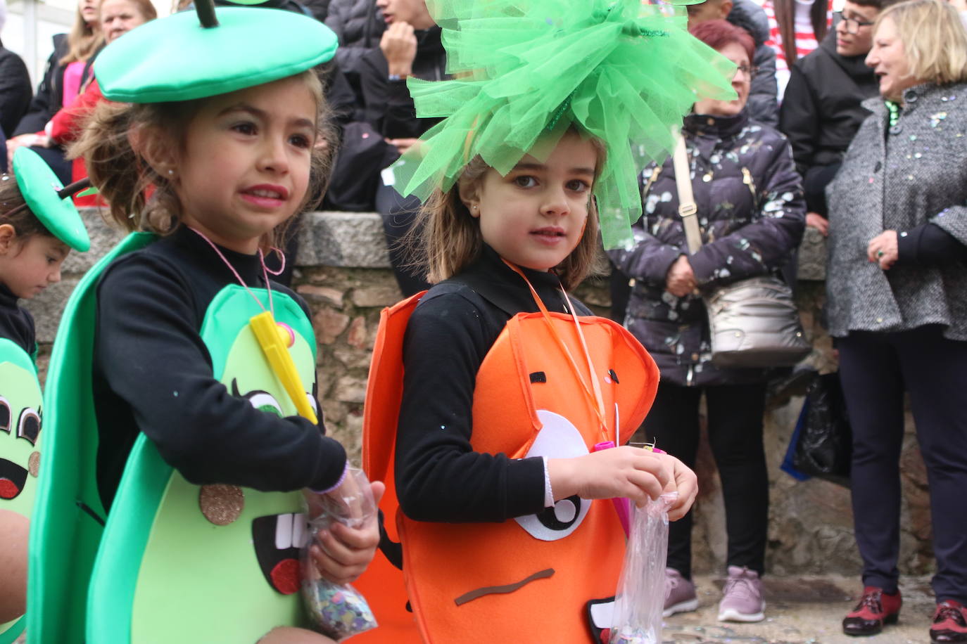 Fotos: Arranca el Carnaval en Jerez de los Caballeros con el desfile de los centros educativos
