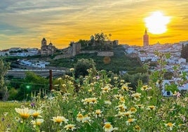 Imagen de Jerez de los Caballeros que ha logrado la segunda posición en el concurso.