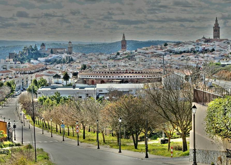 Vista de Jerez.