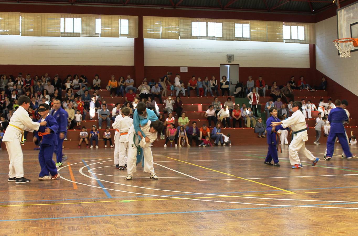 Para esta semana están programadas sendas exhibiciones de Karate y Judo en el gimnasio del colegio 'El Rodeo'. HOY Jerez.