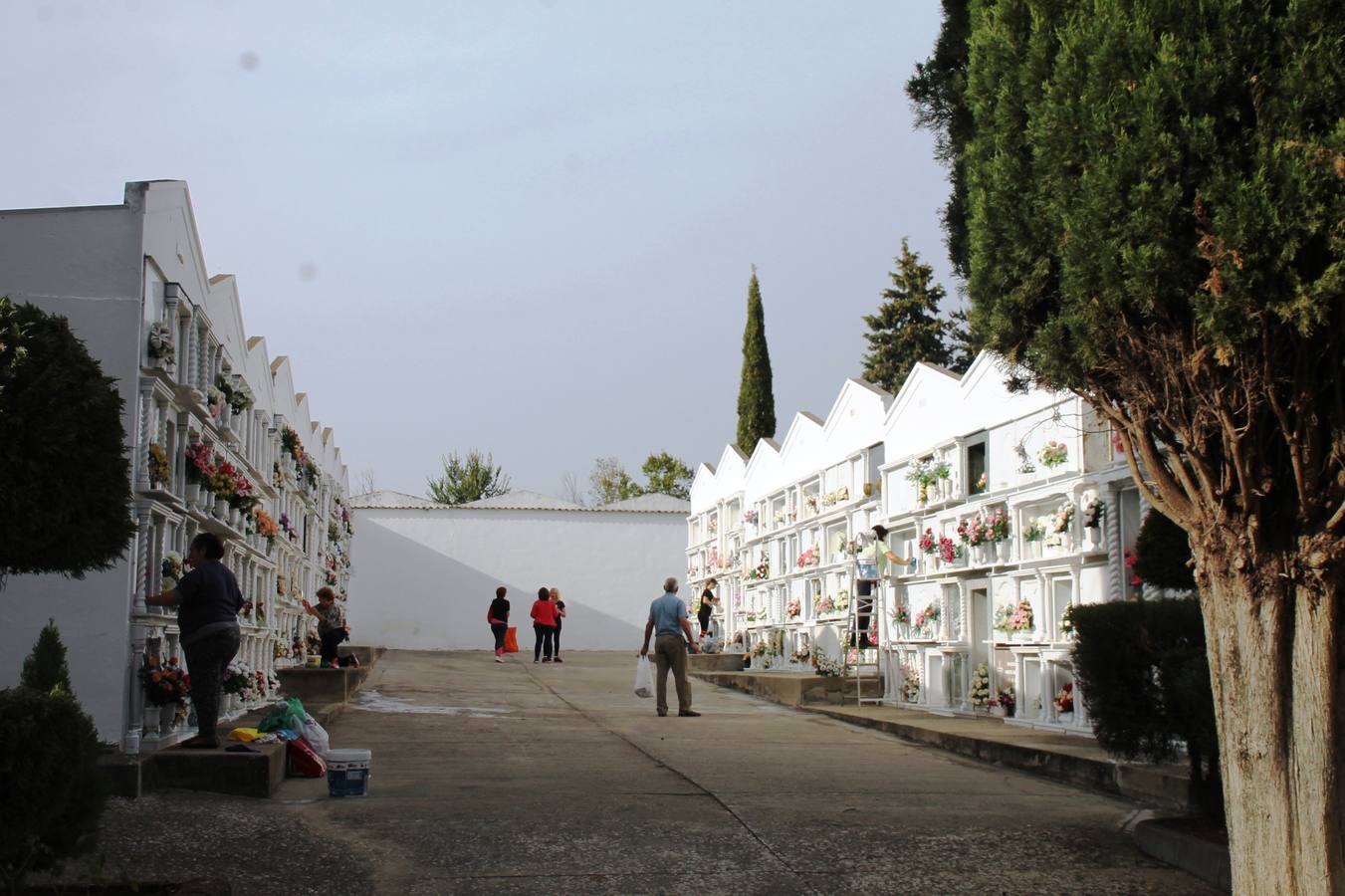 La convivencia en el campo y las visitas al cementerio centran la festividad de Todos los Santos