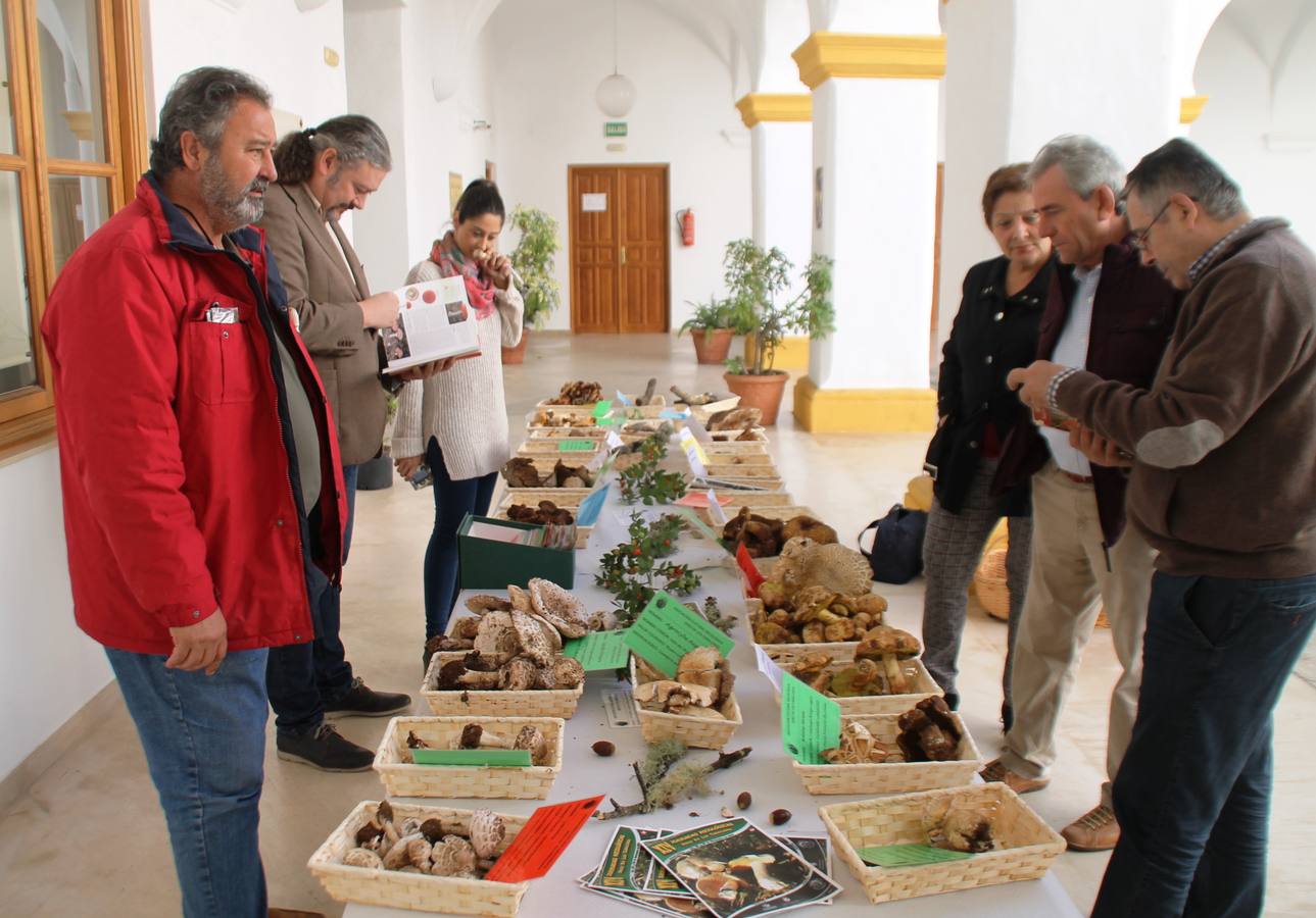 Miembros de la Asociación Cultural Micológica de Jerez en su exposición el pasado domingo.