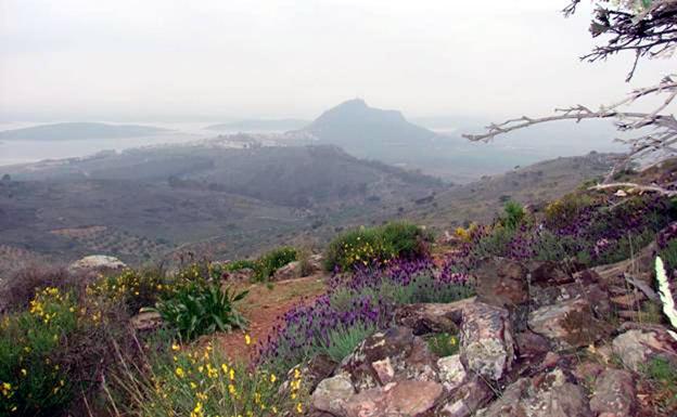 Uno de los tramos de la ruta senderista 'Peñas Blancas'