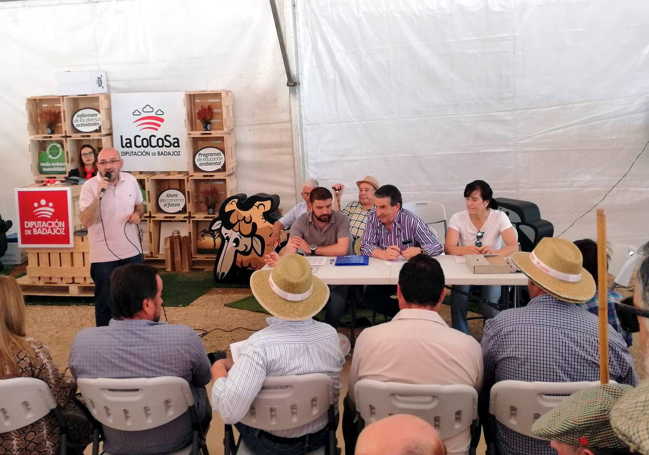 Fotos: Feria de Mayo