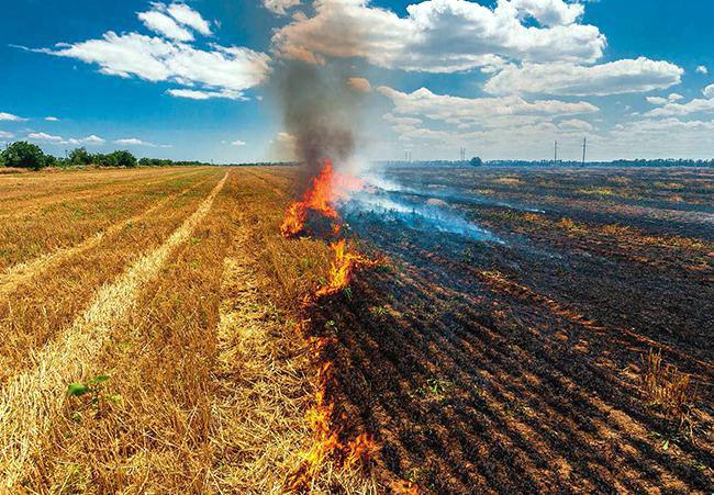 Quema de rastrojos en un campo de cereales