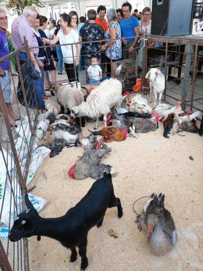 Fotos: Feria de Septiembre en honor a la Virgen de las Nieves