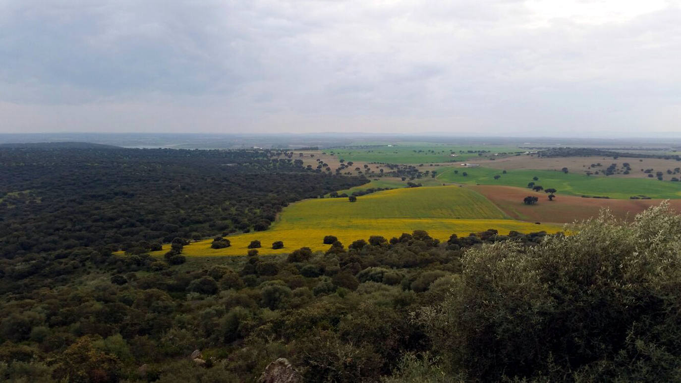 Paraje próximo al Risquillo