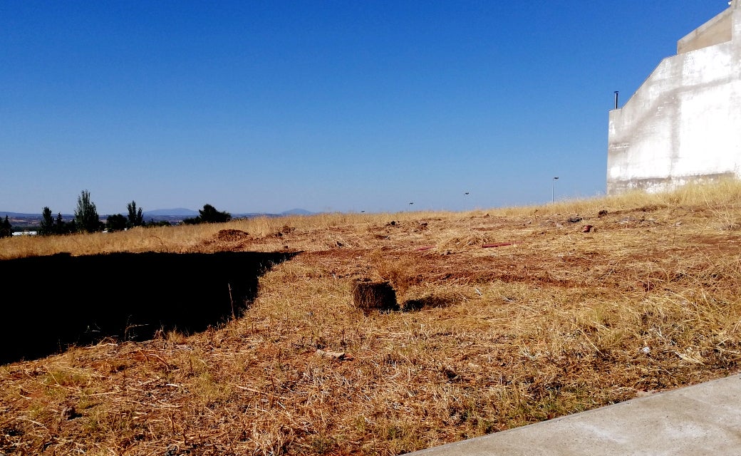 Los solares urbanos deberán estar limpios de pastos