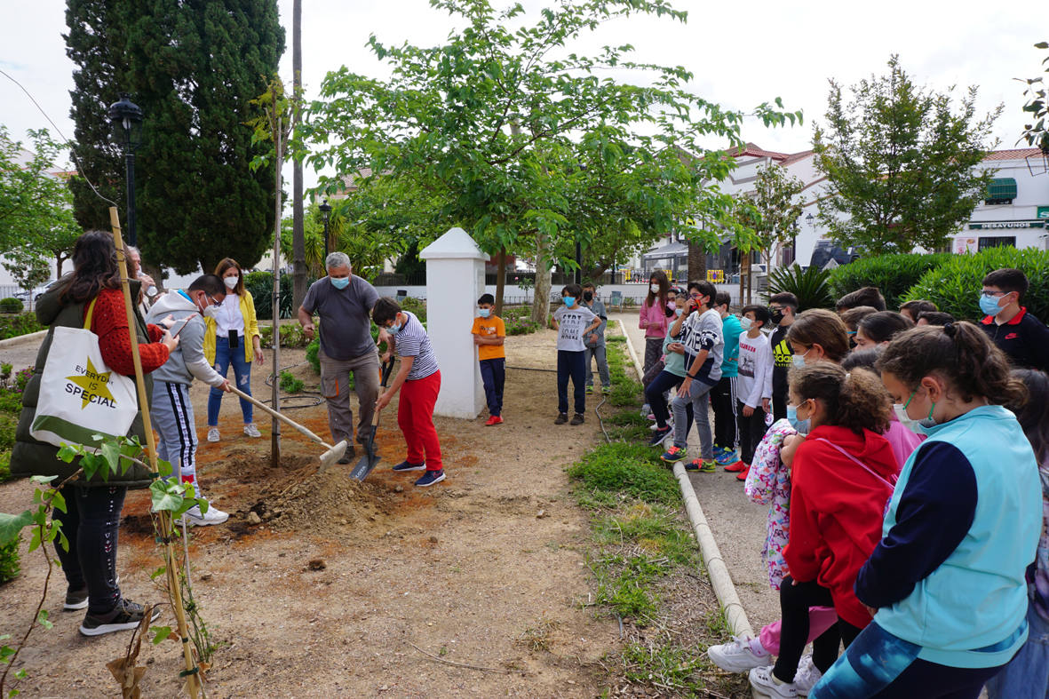 Los escolares, durante la plantación