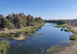 Río Guadiana a su paso por La Zarza