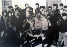 Paseo de la loba por La Zarza, 6 de enero de 1965
