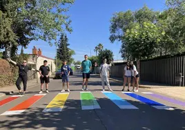 Pintura de un paso de peatones a la entrada del Instituto