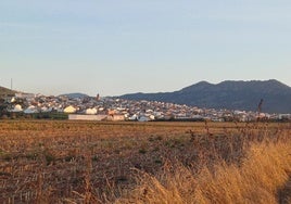 La Zarza pierde 24 habitantes respecto al último padrón municipal