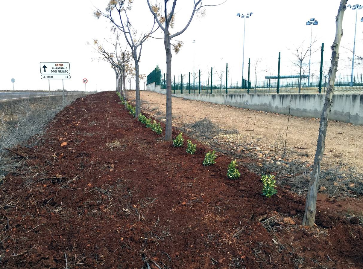 Sendero perimetral de la Ciudad Deportiva