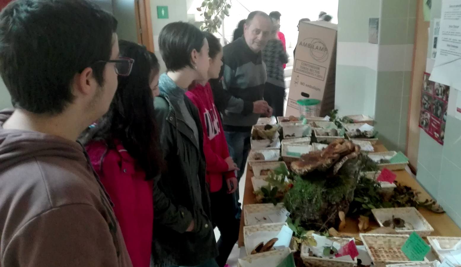 Exposición de setas en el Instituto
