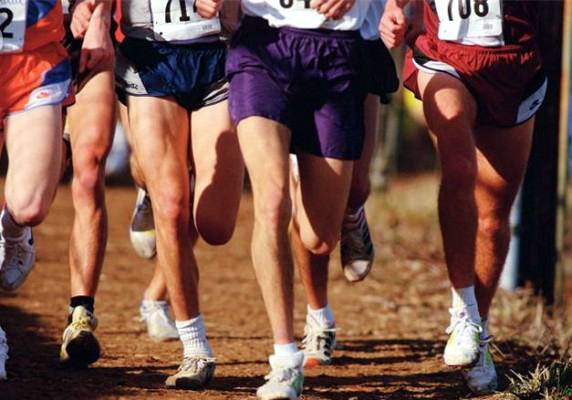 Los mejores deportistas recibirán un reconocimiento económico