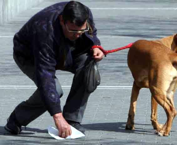 Un hombre recoge los excrementos de su perro