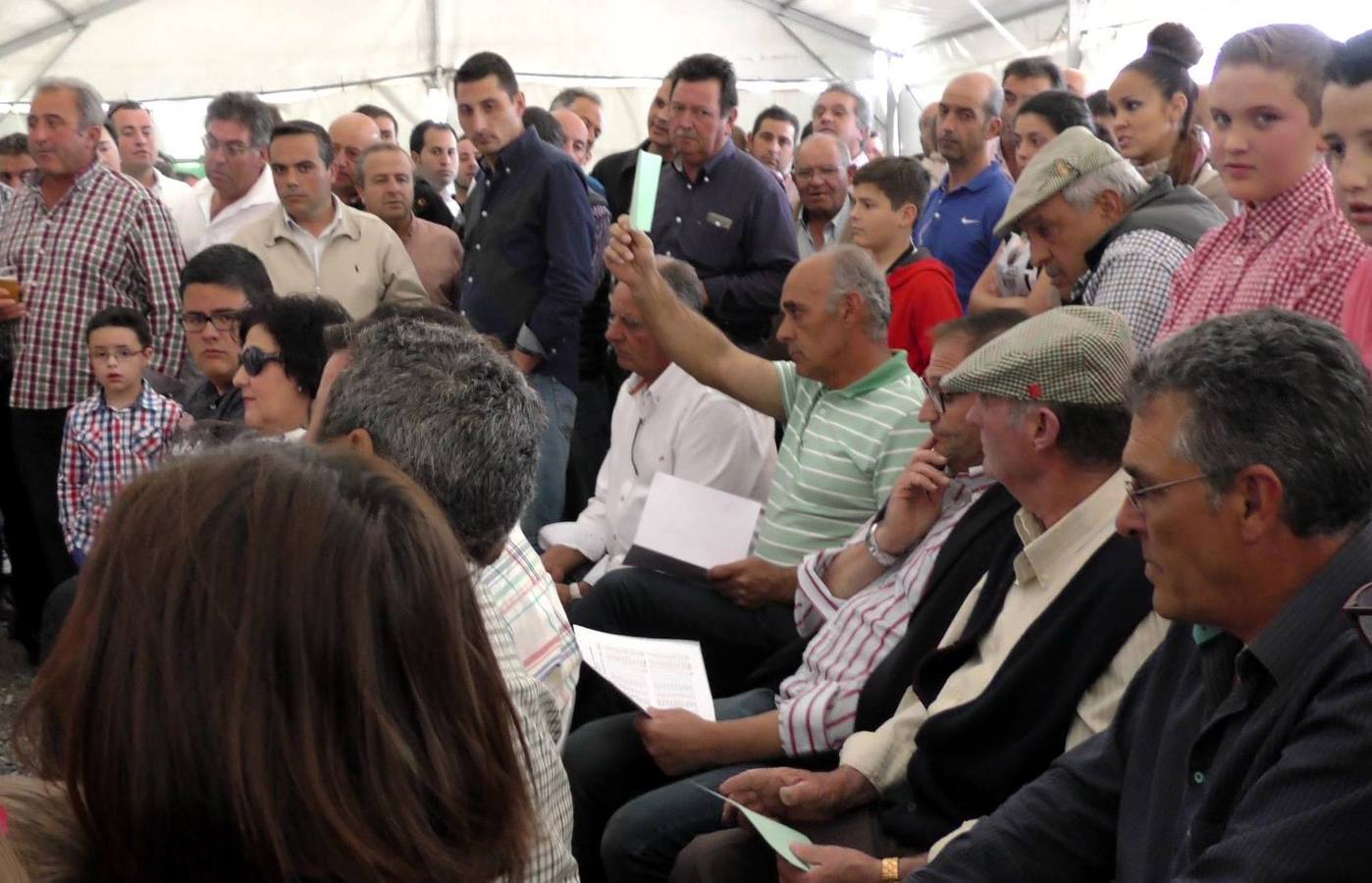 Subasta celebrada el año pasado