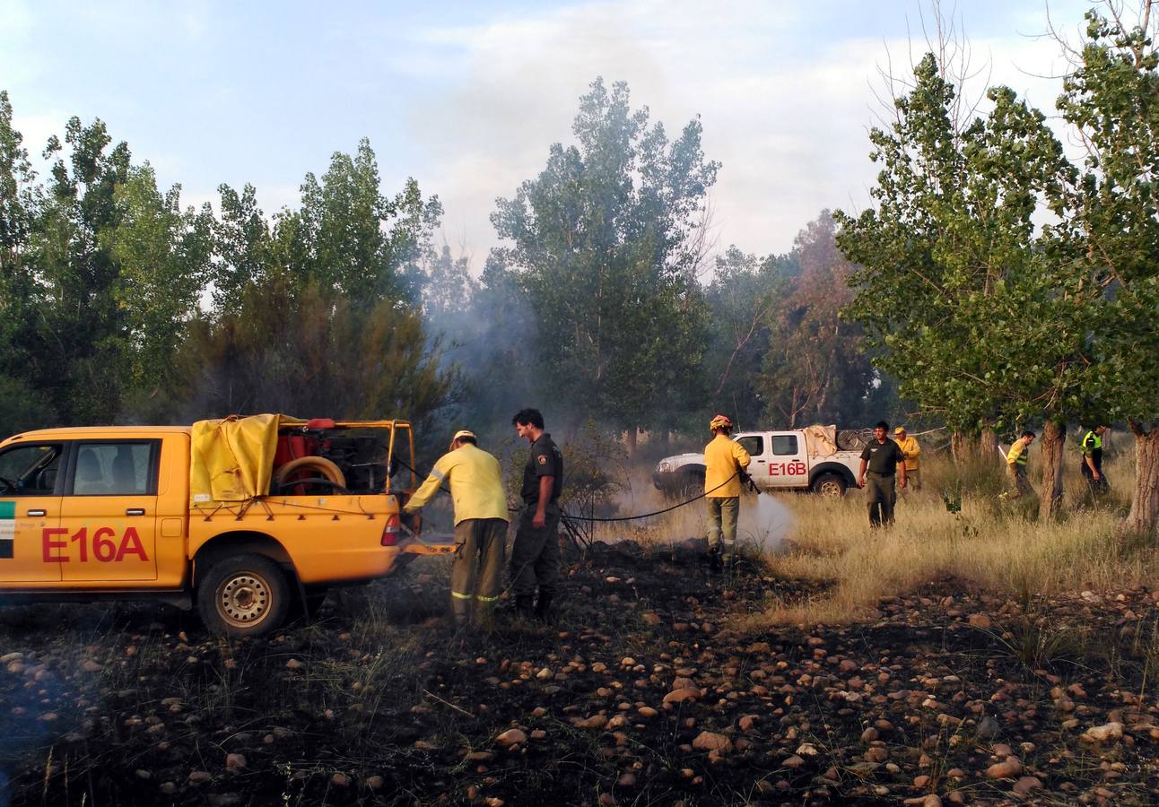 Efectivos de la lucha contra incendios sofocan el fuego