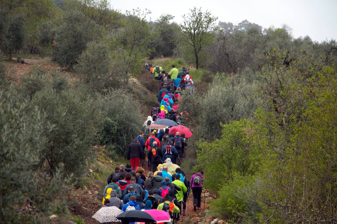 Imagen de la ruta en la edición del año pasado